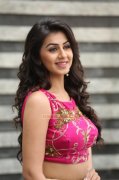 2016 Galleries Film Actress Nikki Galrani 941