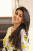 Cinema Actress Nikki Galrani Gallery 2028