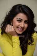 Cinema Actress Nikki Galrani Latest Albums 6308