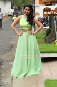 Cinema Actress Nikki Galrani Recent Albums 4429