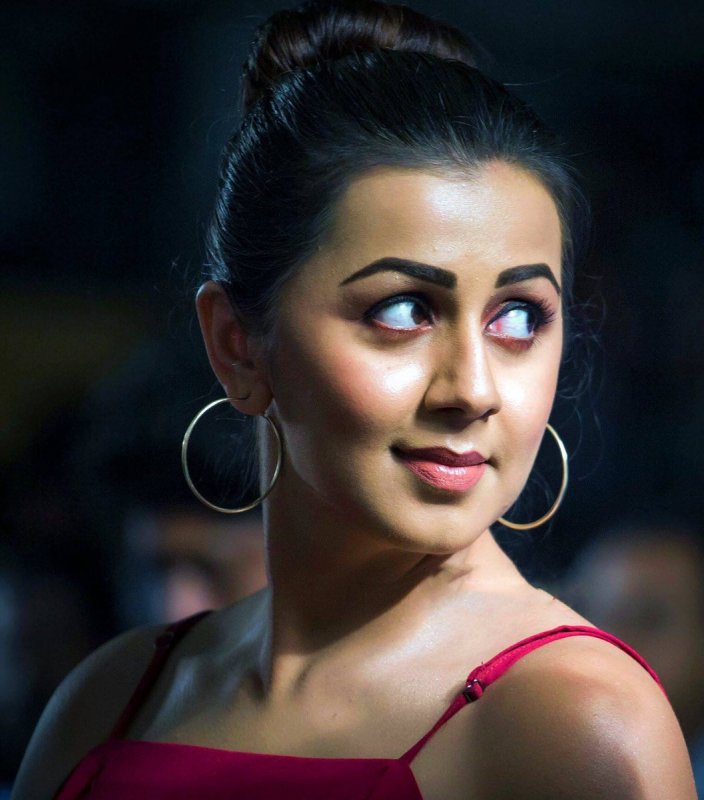 Images Nikki Galrani Film Actress 4416