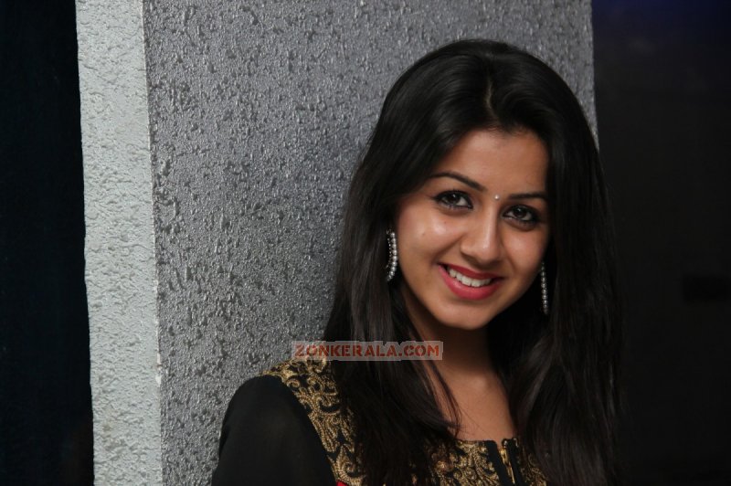 Jan 2015 Pic Malayalam Heroine Nikki Galrani 412