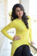 Latest Galleries Nikki Galrani 2814