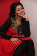 Latest Photos Malayalam Heroine Nikki Galrani 4894