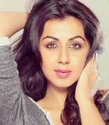 Malayalam Actress Nikki Galrani Stills 7317