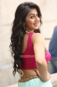 Malayalam Movie Actress Nikki Galrani Latest Pictures 8755