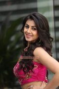 Mar 2016 Wallpapers Nikki Galrani Cinema Actress 9567