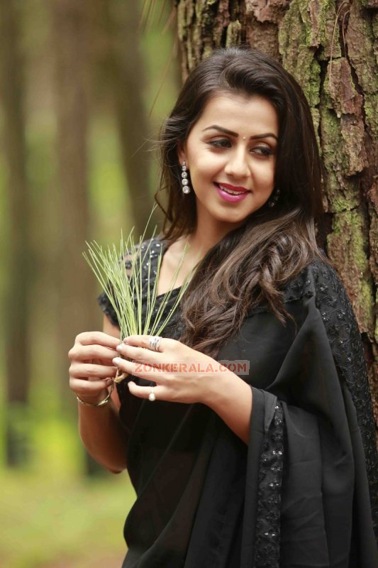 New Photo Nikki Galrani Movie Actress 5376