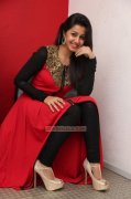 New Pic Nikki Galrani Indian Actress 8386