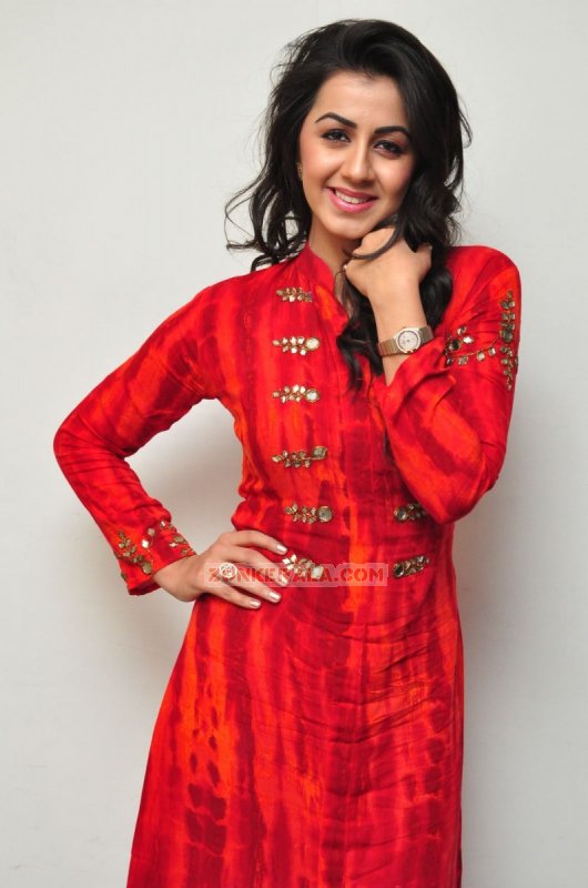 New Pics Nikki Galrani Malayalam Actress 71