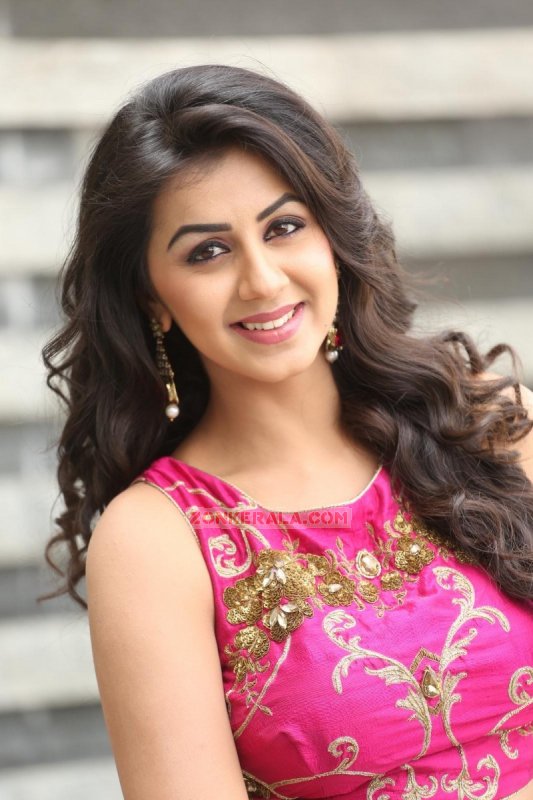 New Still Nikki Galrani Indian Actress 9443