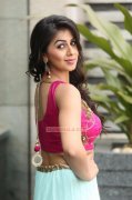 Nikki Galrani Heroine Stills 9074