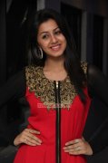 Nikki Galrani Indian Actress Albums 7680