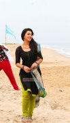 Nikki Galrani Latest Gallery 4978