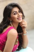 Nikki Galrani Malayalam Movie Actress Recent Album 8187