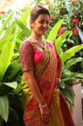 Nikki Galrani Movie Actress 2020 Album 7803