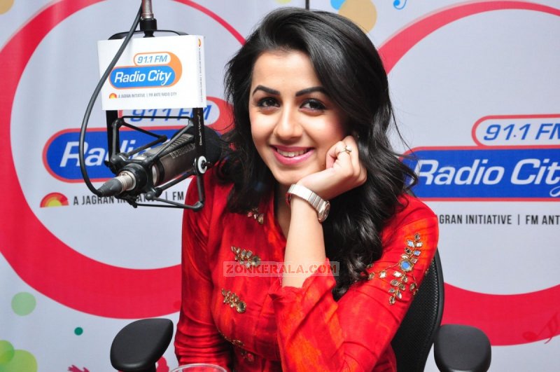 Nikki Galrani Movie Actress Feb 2016 Images 7890