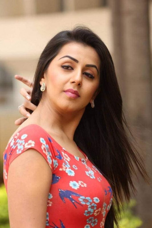 Nikki Galrani Movie Actress Picture 2610