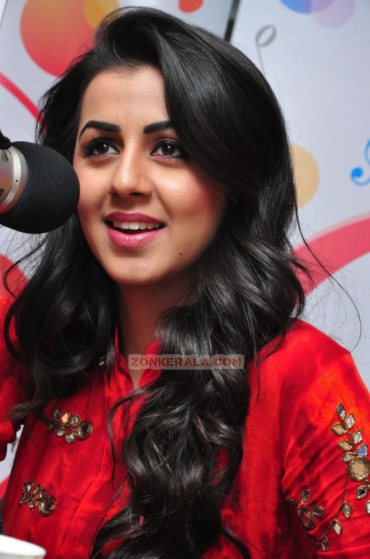 Nikki Galrani New Photos 1661