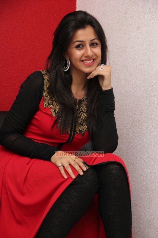 Nikki Galrani South Actress 2015 Gallery 269