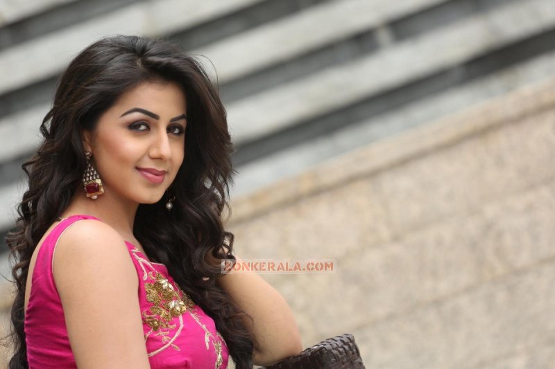 Nikki Galrani South Actress 2016 Photo 9910