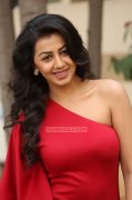 Photo Nikki Galrani Malayalam Movie Actress 3116