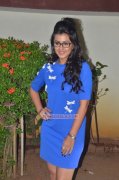 Pics Indian Actress Nikki Galrani 5832