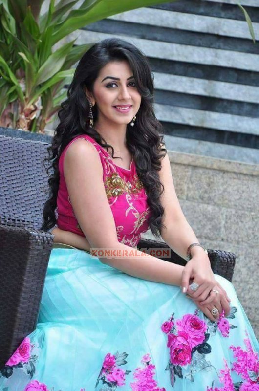 Recent Image Nikki Galrani Actress 7955