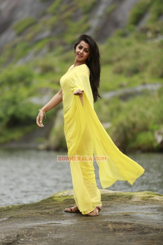 Recent Pictures Nikki Galrani Heroine 9535