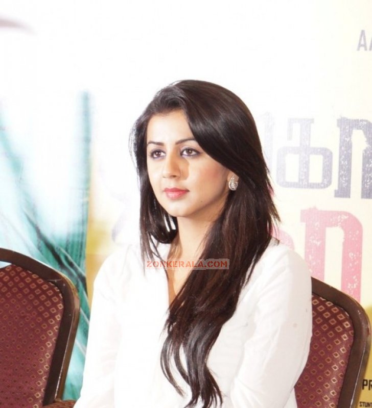 Recent Still Actress Nikki Galrani 7764