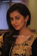 South Actress Nikki Galrani Latest Photo 1953