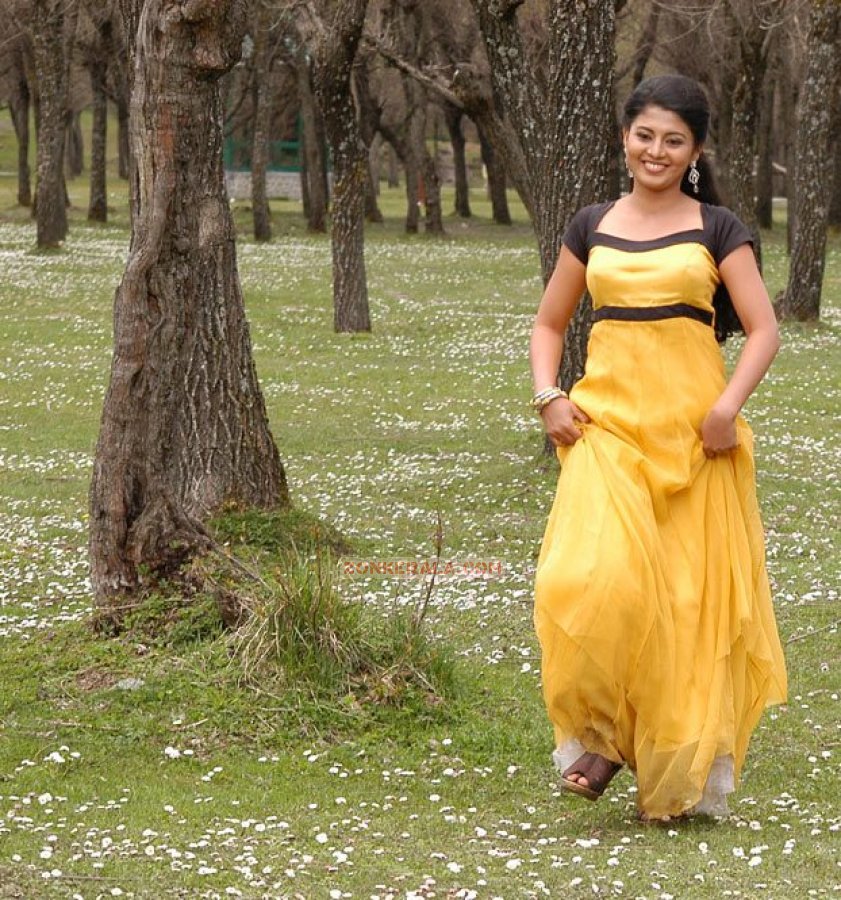 Nimisha Suresh 8064