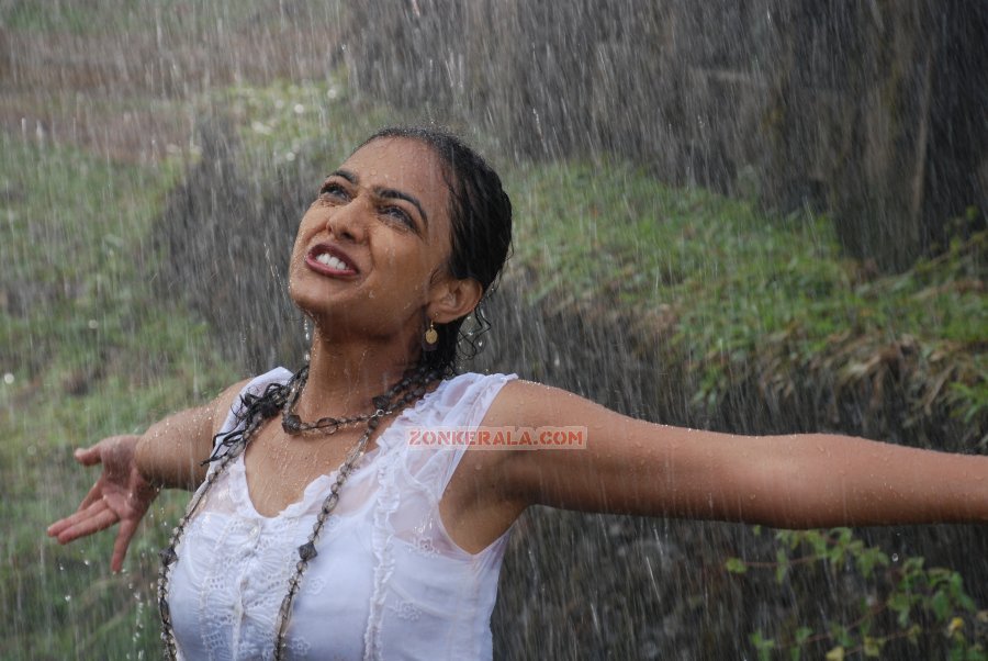 Malayalam Actress Nithya Menon Photos 1946