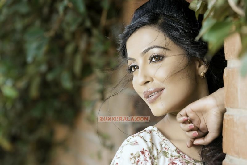 South Actress Parvathy Nair New Stills 9260