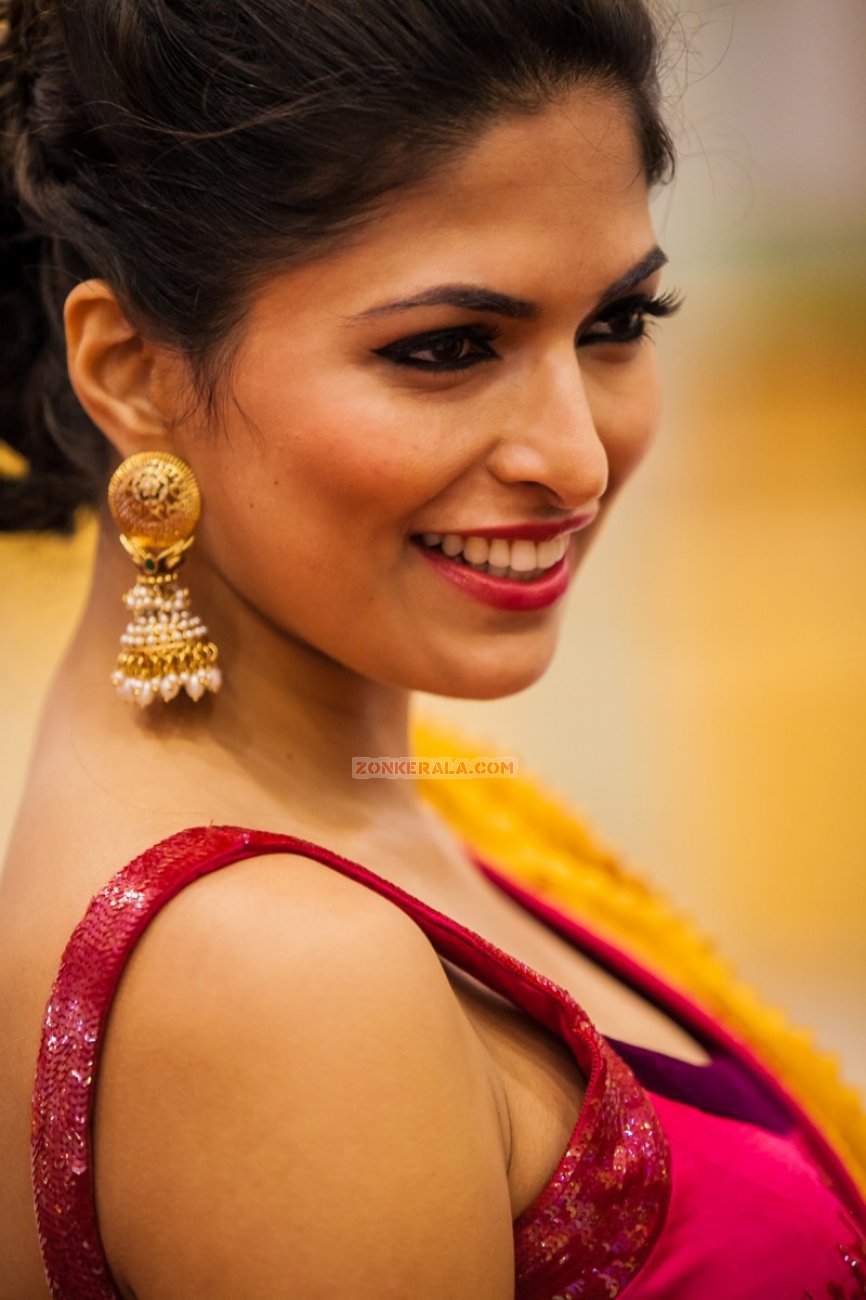 Actress Parvathy Omanakuttan Photos 8421