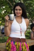 2015 Photos Movie Actress Poonam Bajwa 8580