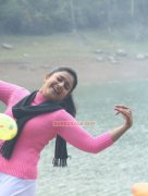 Actress Poonam Bajwa Picture 383