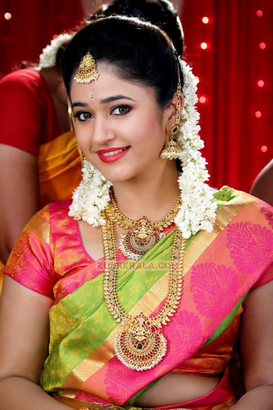 Malayalam Actress Poonam Bajwa Latest Image 3681