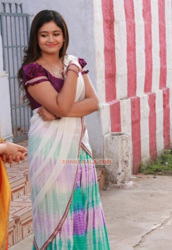 Poonam Bajwa Malayalam Movie Actress Latest Pics 3167