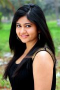 Poonam Bajwa Stills 4656