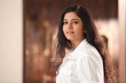 South Actress Poonam Bajwa 2015 Album 2554