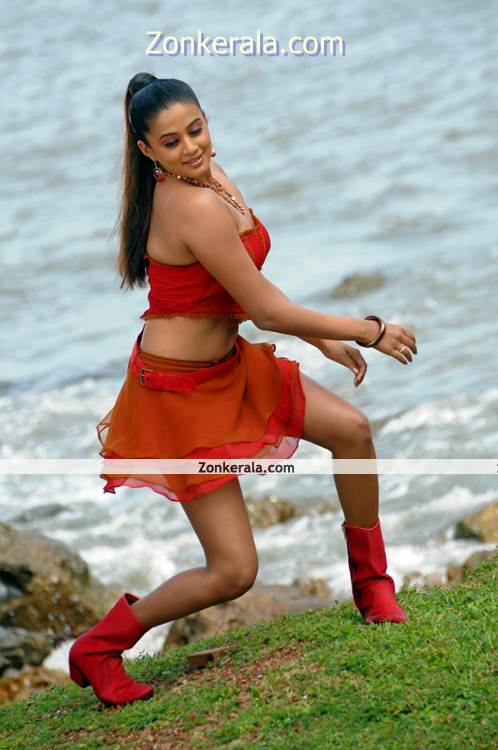 Actress Priyamani Hot Image 2
