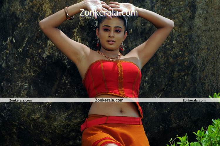 Actress Priyamani Hot Image 7