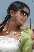 Actress Priyamani Photo