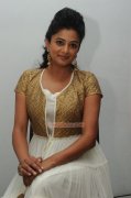 Actress Priyamani Photos 2407