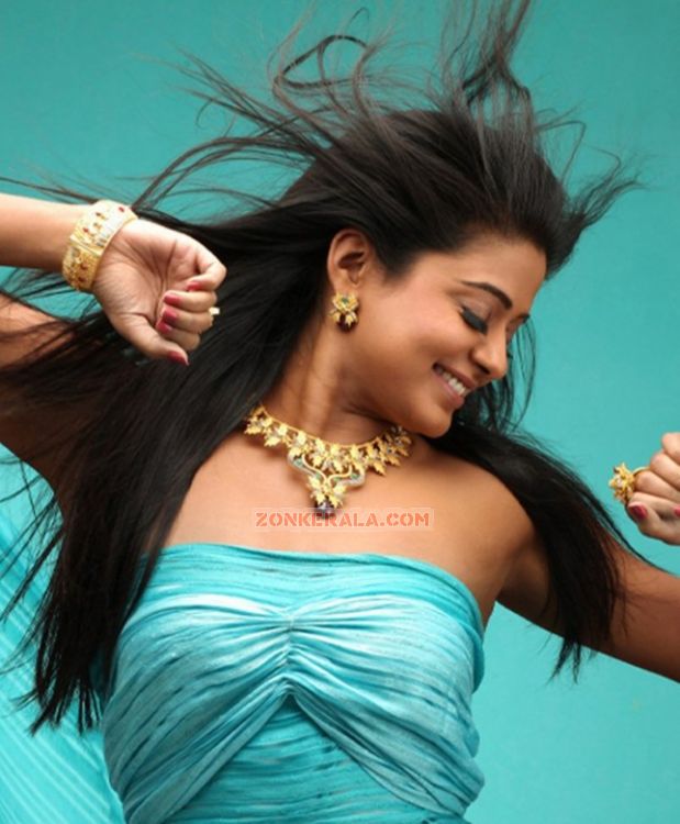 Actress Priyamani Photos 3126