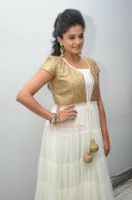 Actress Priyamani Photos 5147