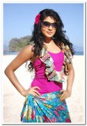 Actress Priyamani Pictures 5