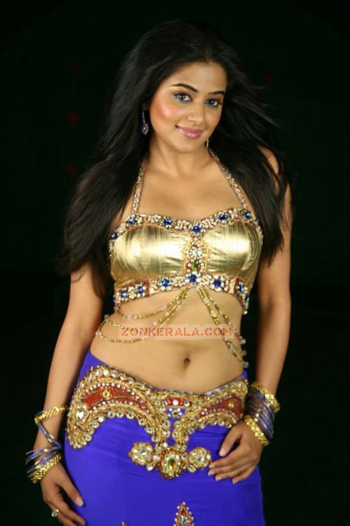 Malayalam Actress Priyamani 1134