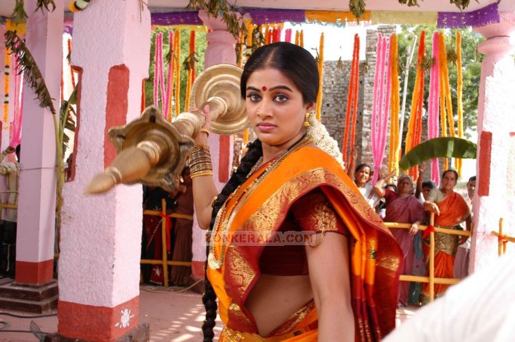 Malayalam Actress Priyamani 2721